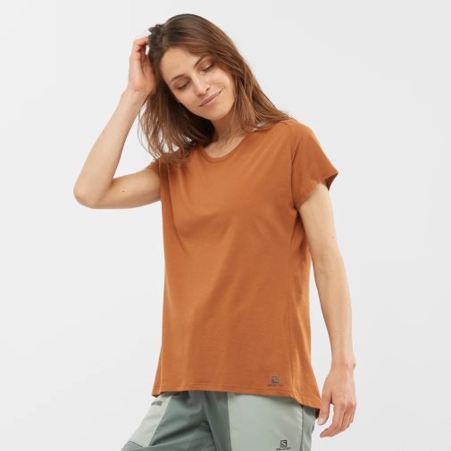 Camiseta Salomon Essential Shaped Corta Sleeve Mujer Marrom | MX XVLD538